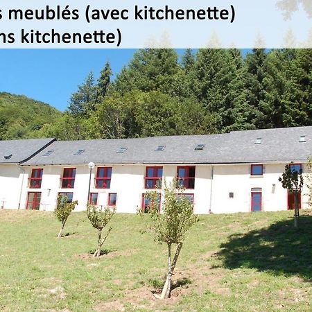 Gite Du Haut Cantal - Appartements Meubles Avec Kitchenette Et Chambres Sans Kitchenette Condat (Cantal) Exterior foto