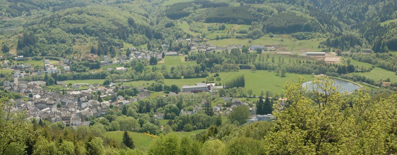 Gite Du Haut Cantal - Appartements Meubles Avec Kitchenette Et Chambres Sans Kitchenette Condat (Cantal) Exterior foto
