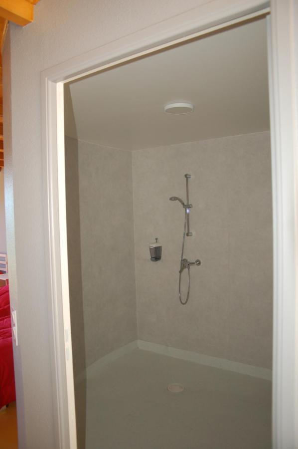 Gite Du Haut Cantal - Appartements Meubles Avec Kitchenette Et Chambres Sans Kitchenette Condat (Cantal) Exterior foto